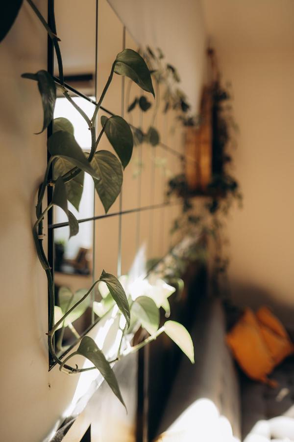 Apartment Greenspot - Loft With 2 Bedrooms And Free Parking Liepaja