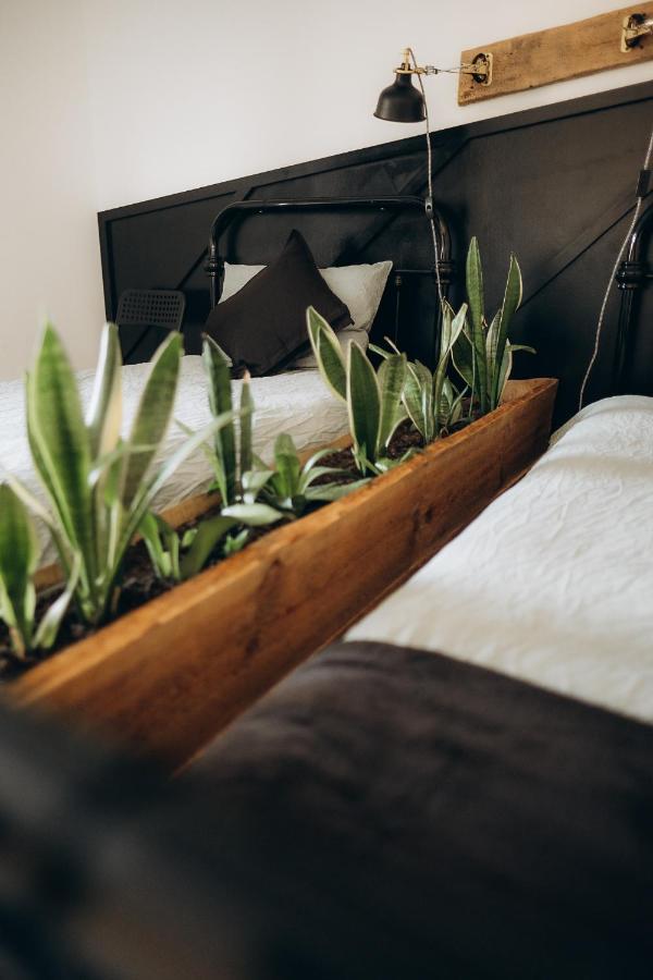Apartment Greenspot - Loft With 2 Bedrooms And Free Parking