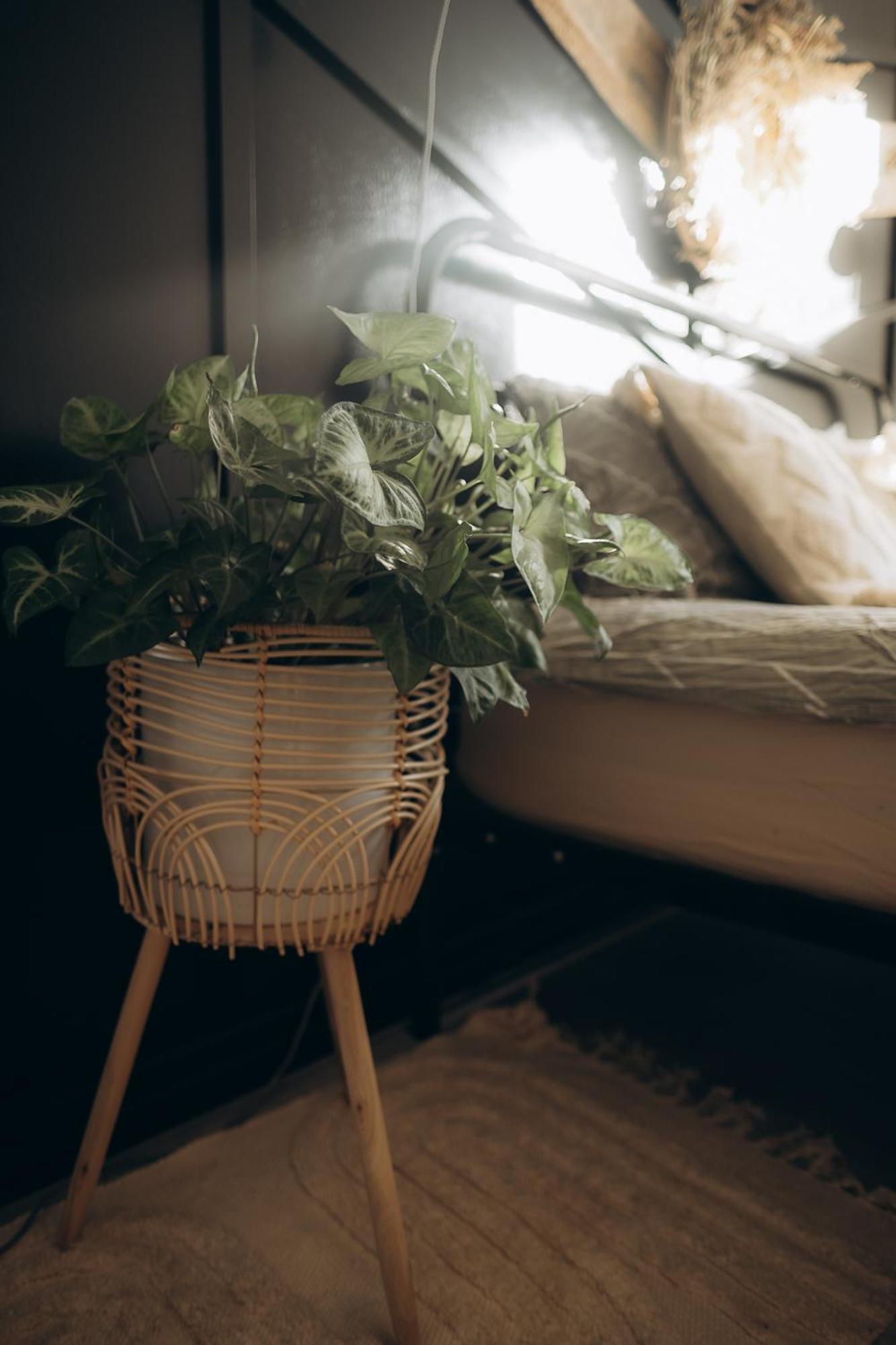 Greenspot - Loft With 2 Bedrooms And Free Parking Apartment